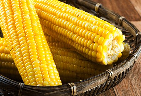 Receita-de-Milho-Verde-Cozido-Suculento