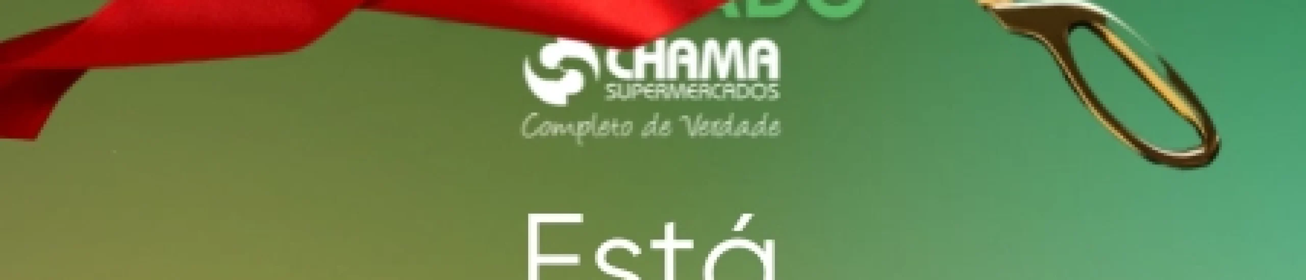 estachegandomobile